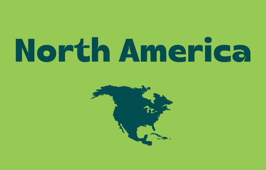 Teltrip eSIM North America 1GB.