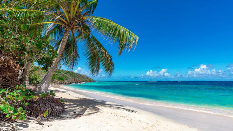 Bahamas