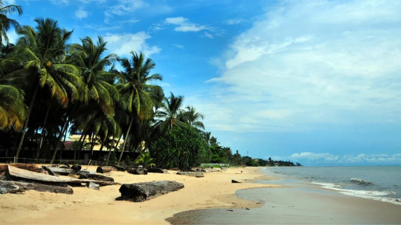 Gabon