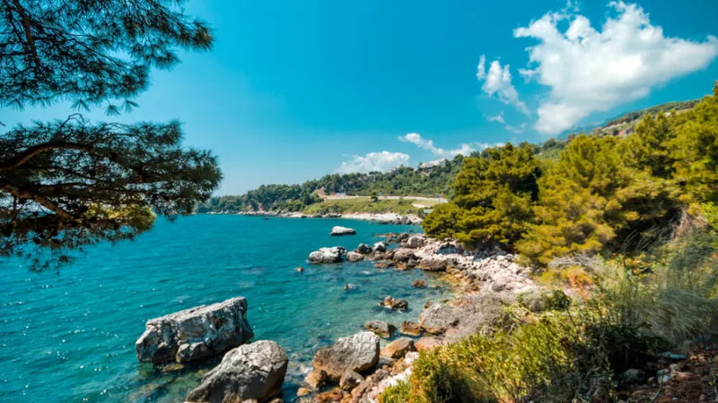 Montenegro