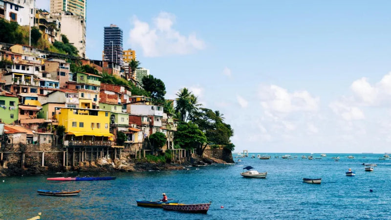 South America