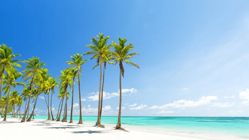 Dominican Republic 3GB