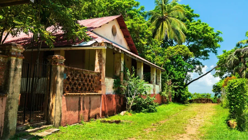 French Guiana 1GB