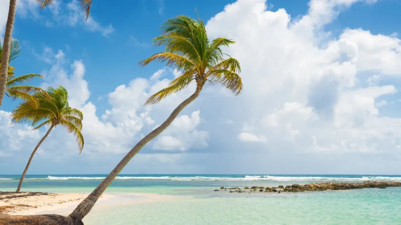 Guadeloupe 1GB
