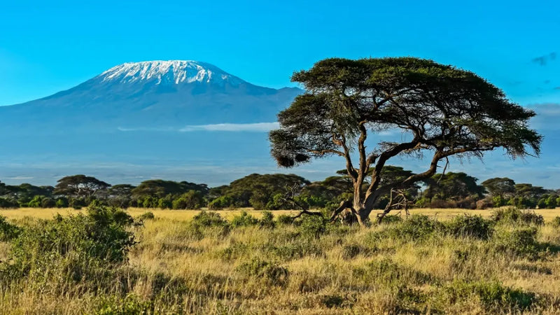 Kenya 3GB