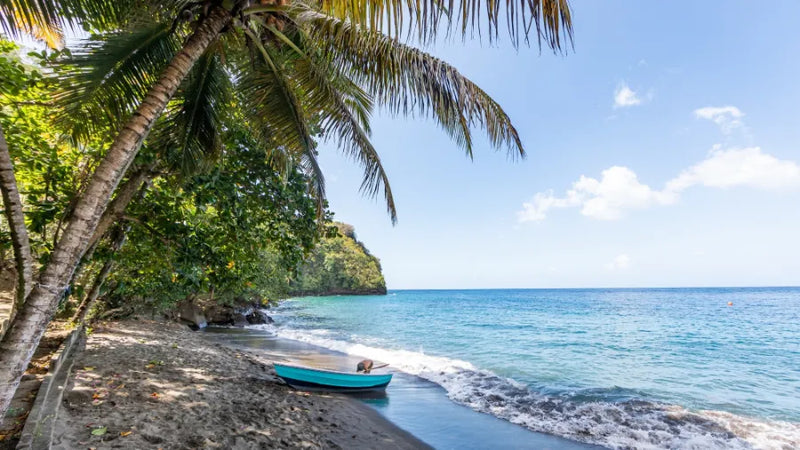 Saint Vincent and Grenadines 5GB