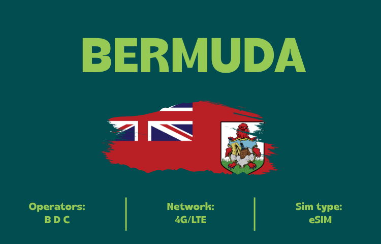 Bermuda 1GB