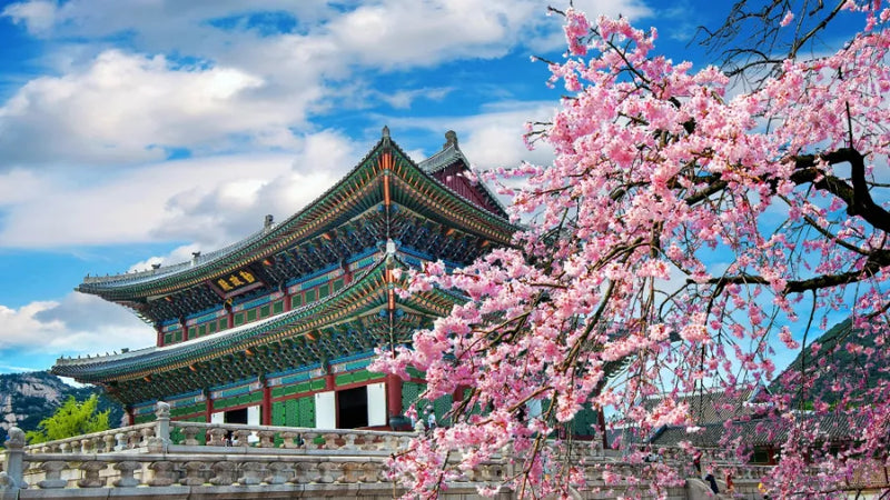 South Korea 3GB